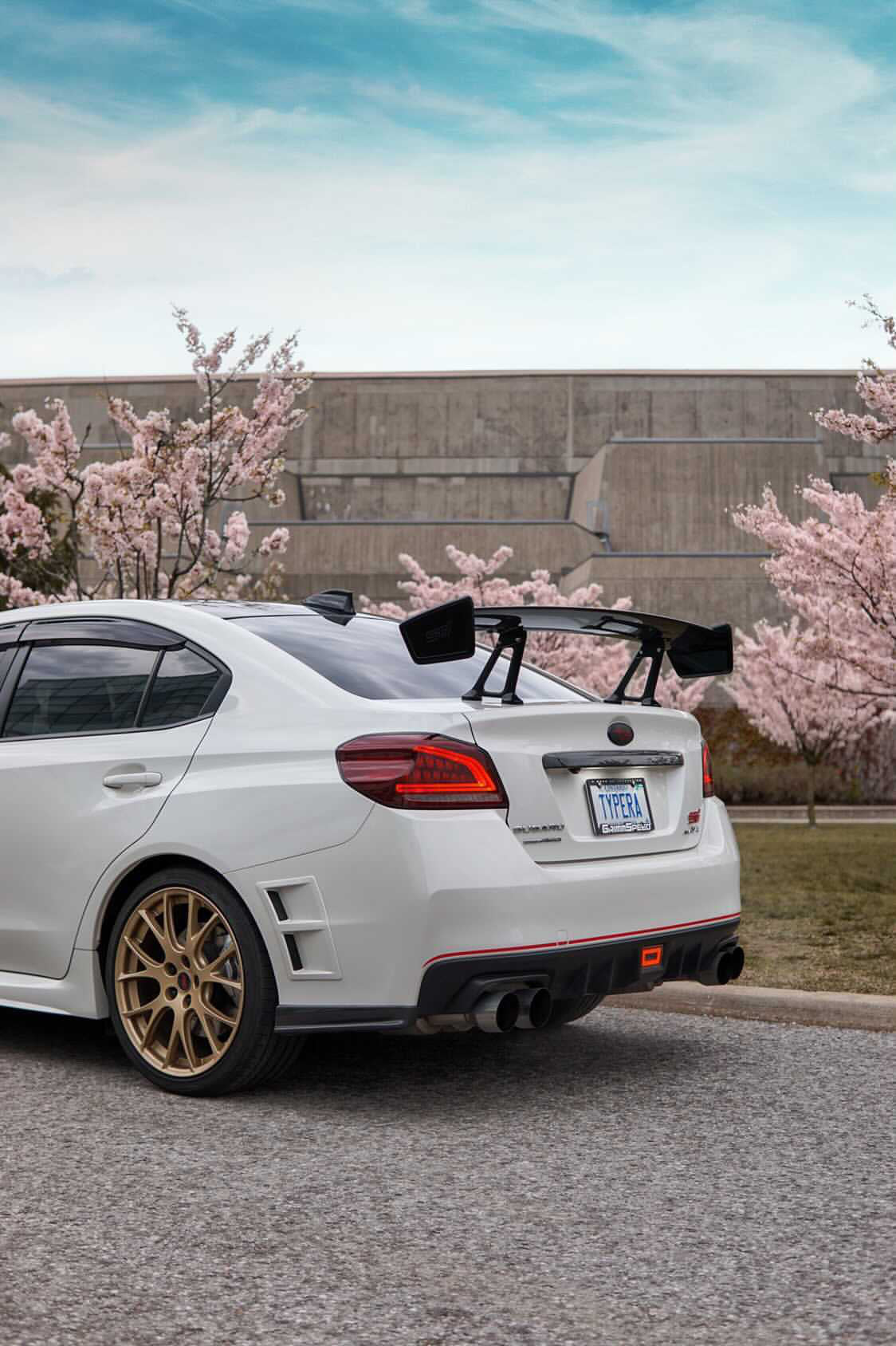 MSP Carbon Fiber Rear Spats 2015-2021 WRX / 2015-2021 STI - Image 4